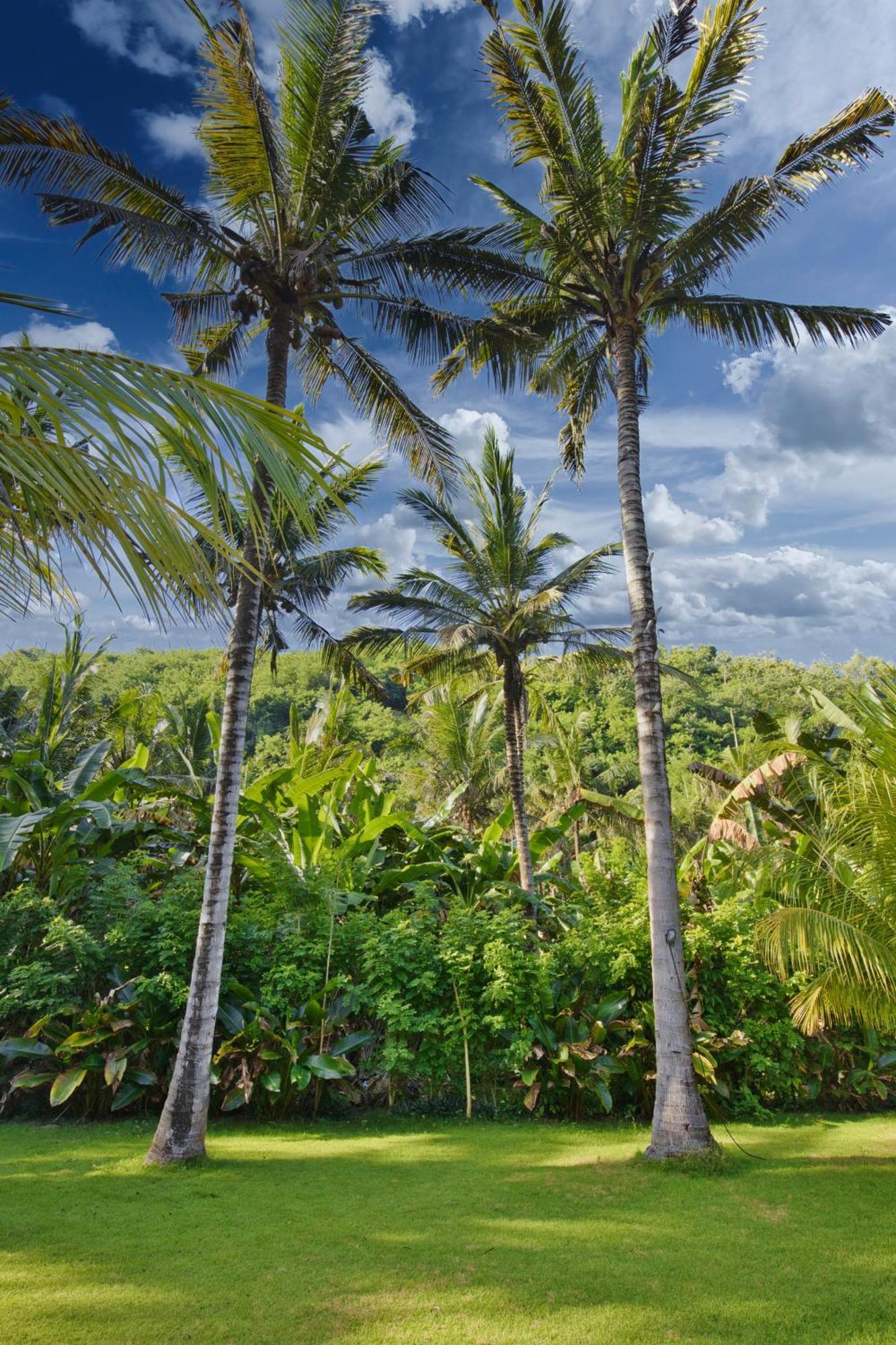 Апартаменти Puri Yalus Bungalow Toyapakeh Екстер'єр фото